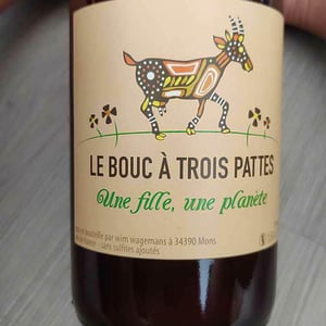 Une Fille, Une Planète - Le Bouc à Trois Pattes - wim-wagemans