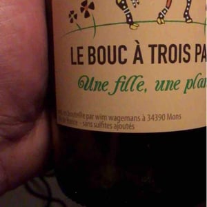 Le Bouc à Trois Pattes - Wim Wagemans - Une Fille, Une Planète