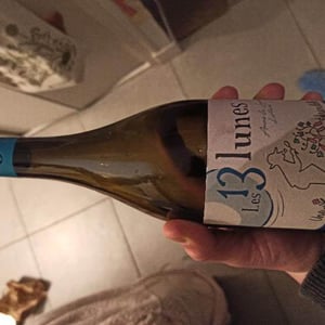Domaine Des 13 Lunes - Sylvain Liotard & Florent da Conceição - Une Hirondelle