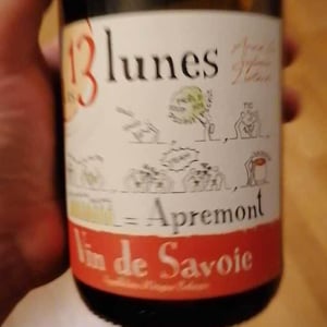 Une Hirondelle - Domaine Des 13 Lunes - Sylvain Liotard & Florent da Conceição 