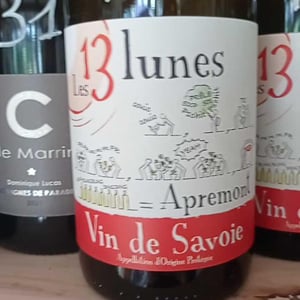 Une Hirondelle - Domaine Des 13 Lunes - sylvain-liotard-florent-da-conceicao