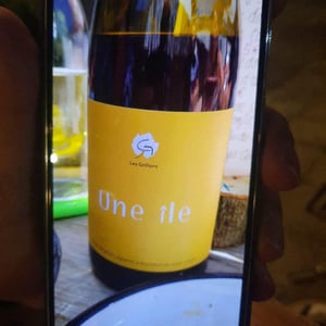 Une Île Rouge - Clos des Grillons - nicolas-renaud
