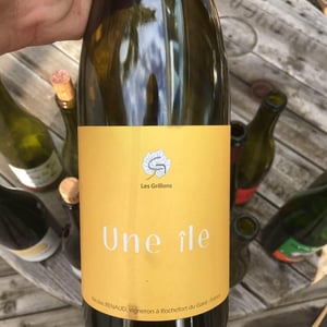 Une Île Rouge - Clos des Grillons - nicolas-renaud