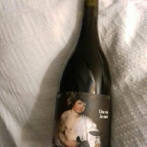 Une Vie La Nuit - Clos du Rouge Gorge - cyril-fhal