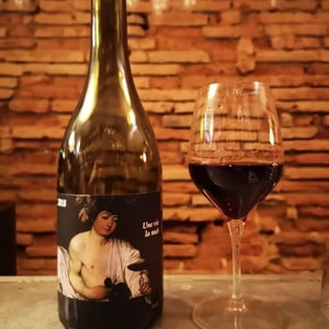 Clos du Rouge Gorge - Cyril Fhal - Une Vie La Nuit
