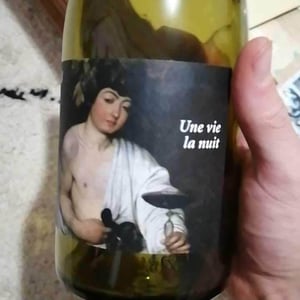 Une Vie La Nuit - Clos du Rouge Gorge - cyril-fhal