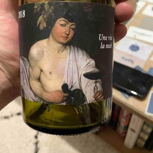 Une Vie La Nuit - Clos du Rouge Gorge - cyril-fhal