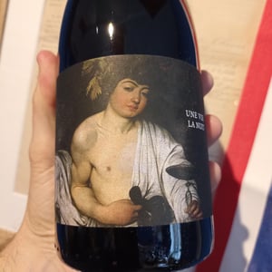 Une Vie La Nuit - Clos du Rouge Gorge - cyril-fhal