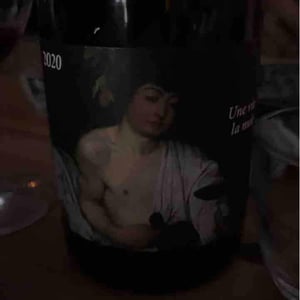Une Vie La Nuit - Clos du Rouge Gorge - cyril-fhal