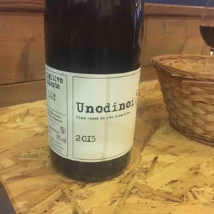 Unodinoi 2015 - Tenuta Macchiarola - Domenico Mangione