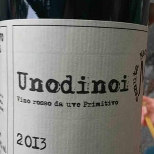 Unodinoi - Tenuta Macchiarola - Domenico Mangione 