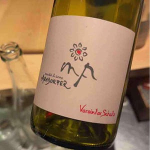 Vereinter Schatz Red - Weingut Martin & Anna Arndorfer - Martin & Anna Arndorfer -2021