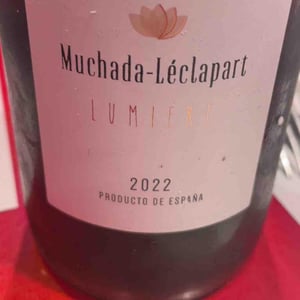 Univers - Muchada-Léclapart - Alejandro Muchada & David Léclapart 