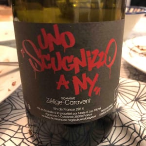 Uno Scugnizzo A N.Y 2014