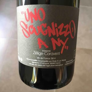 Uno Scugnizzo A N.Y - Zélige Caravent - Luc & Marie Michel 