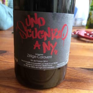 Uno Scugnizzo A N.Y 2014