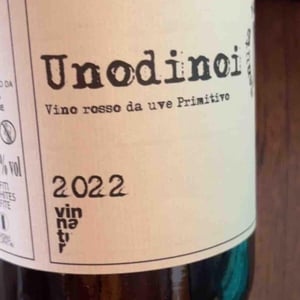 Unodinoi - Tenuta Macchiarola - Domenico Mangione 