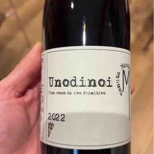 Unodinoi - Tenuta Macchiarola - domenico-mangione