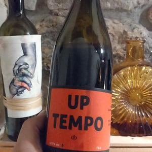 Up Tempo - David Behar - David Behar 