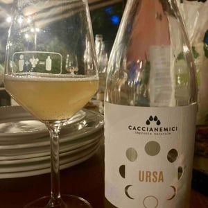 Ursa - Caccianemici BioAutoctona S.S. Società Agricola - Antonio Colliva, Walter Iannini, Giovanni Freddi 