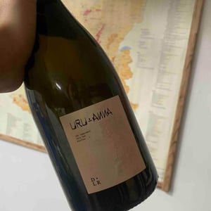 Uru-Anna - Domaine de La Renière - Thibault Masse 