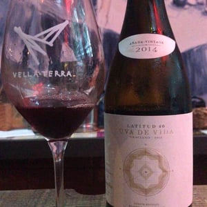 Uva De Vida 2014 - Uva de Vida - Carmen Lopez, Luis Ruiz