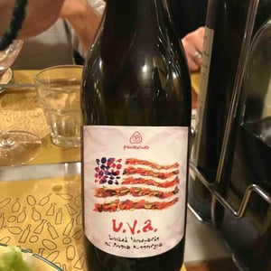 U.V.A. - Panevino - Gianfranco Manca 