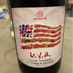U.V.A. - Panevino - gianfranco-manca