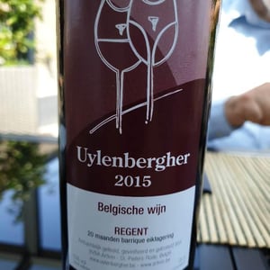 Uylenbergher - Uylenbergher - artivin