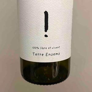 ! - Terre Ensems - krystel-costes-michel-bouisseren