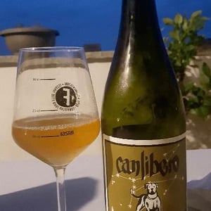Canlibero - Ennio Romano Cecaro, Mena Iannella - V For Vittorio