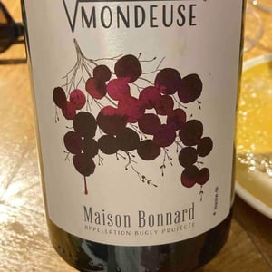 Racine de Mondeuse - Maison Bonnard - frederic-romain-et-anne-sophie-bonnard -2020