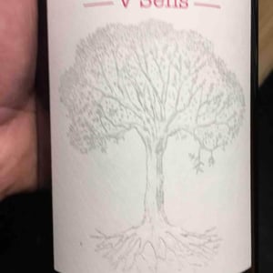 Domaine de Bellevue - Jérôme Bretaudeau - V Sens