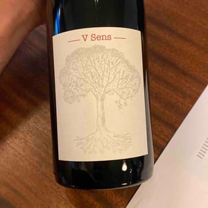V Sens - Domaine de Bellevue - jerome-bretaudeau