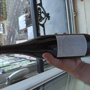 Domaine de Bellevue - Jérôme Bretaudeau - V Sens