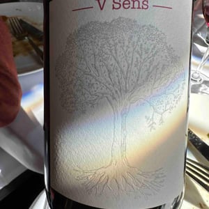 V Sens - Domaine de Bellevue - Jérôme Bretaudeau 