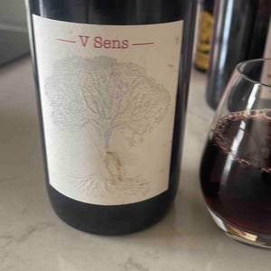 V Sens - Domaine de Bellevue - Jérôme Bretaudeau 