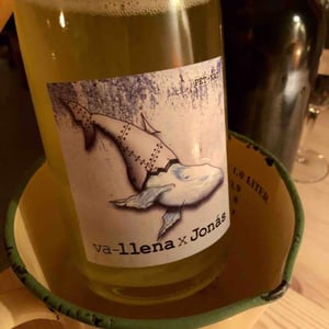 Va-llena x Jonás - MicroBioWines - Ismael Gozalo 