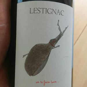 Va Te Faire Boire - Château Lestignac - camille-mathias-marquet -2022