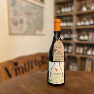 Baga em Anfora - Quinta da Vacariça - francois-chasans -2019