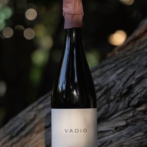 Vadio - Vinhos Vadio - Luís Patrão -2020