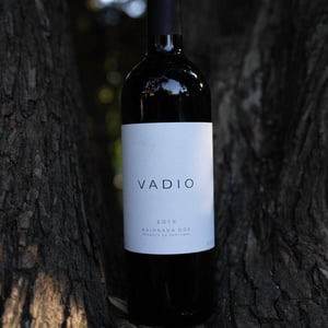 Bairrada DOC Red - Vinhos Vadio - Luís Patrão -2019