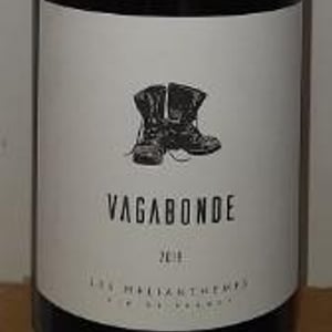 Vagabonde - Domaine des Hélianthèmes - olivier-contion
