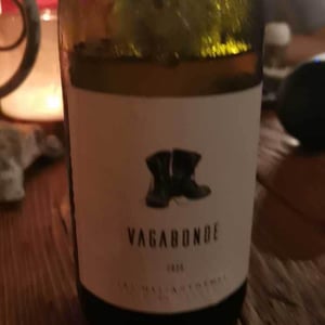 Vagabonde - Domaine des Hélianthèmes - olivier-contion