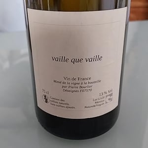 Vaille que vaille - Pierre Bourlier - Pierre Bourlier 