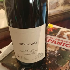 Vaille que vaille - Pierre Bourlier - pierre-bourlier