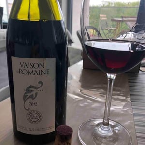 Vaison La Romaine - Domaine Eric Texier - Laurence et Eric Texier 