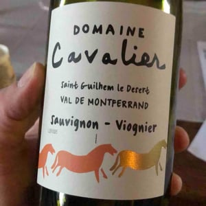 Val De Montferrand - Cavalier - jb-cavalier