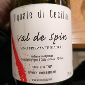 Val di Spin - Vignale di Cecilia - Paolo Brunello 
