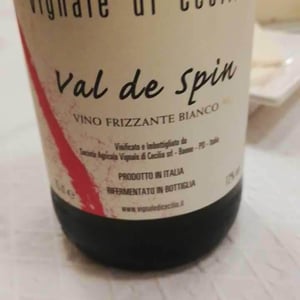 Val di Spin - Vignale di Cecilia - paolo-brunello